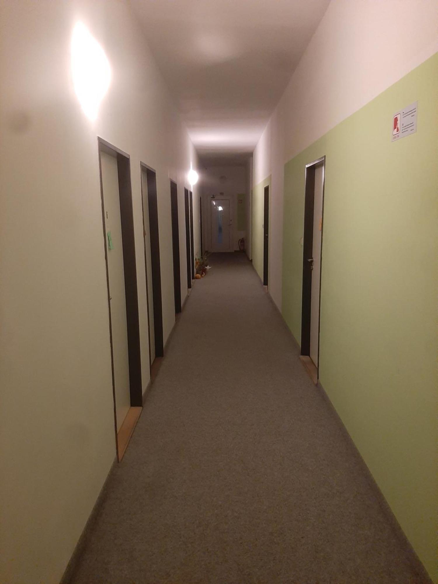 Ubytovani V Brne Otel Brno Dış mekan fotoğraf