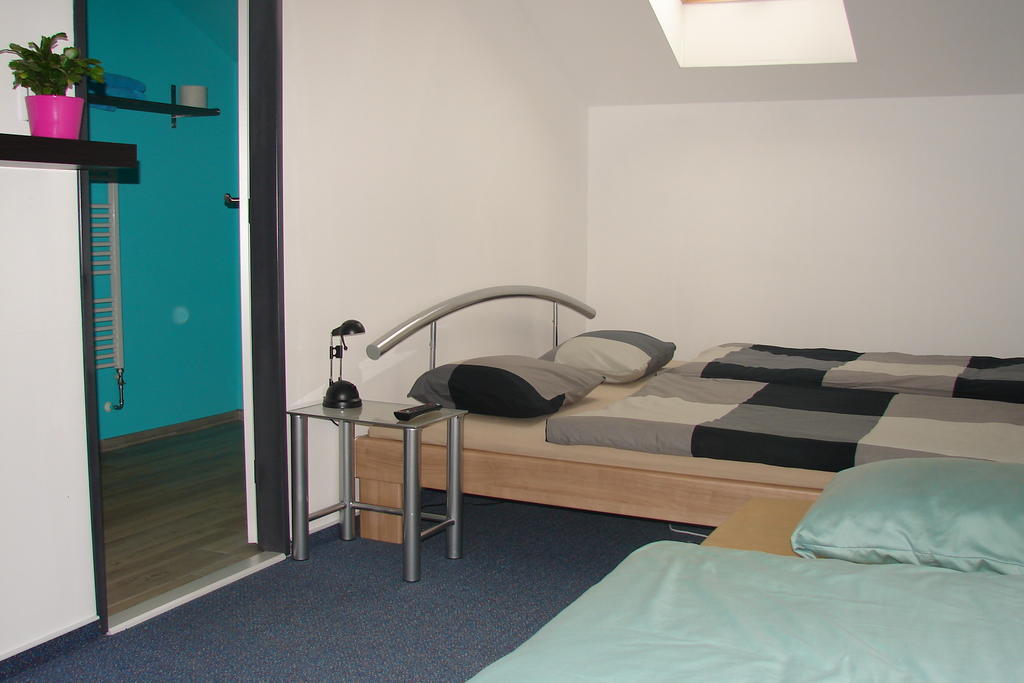 Ubytovani V Brne Otel Brno Dış mekan fotoğraf