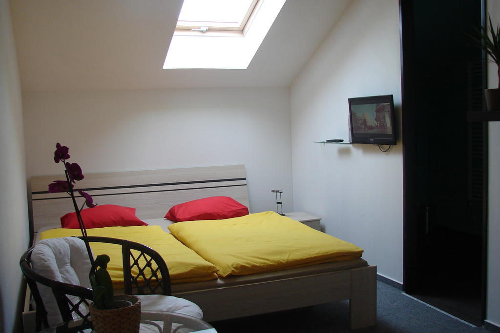 Ubytovani V Brne Otel Brno Dış mekan fotoğraf